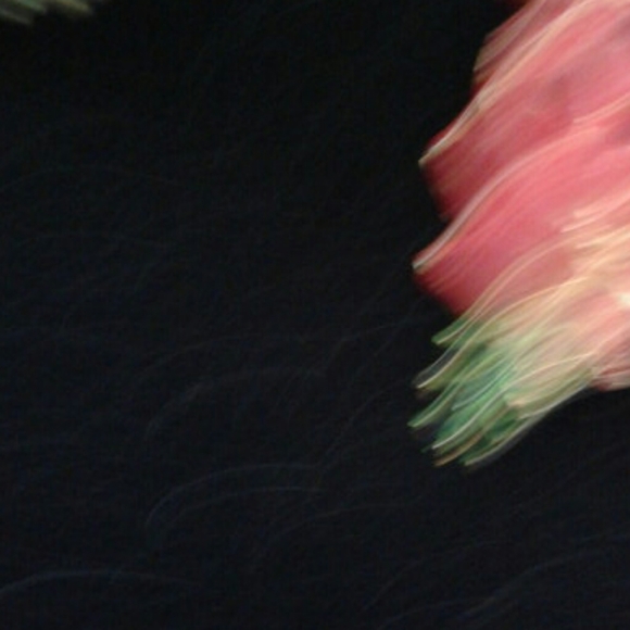 Pins - Picture 5 of 6